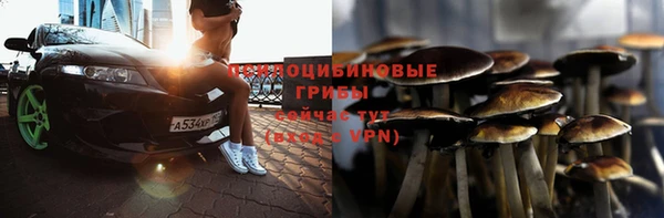 ПСИЛОЦИБИНОВЫЕ ГРИБЫ Россошь