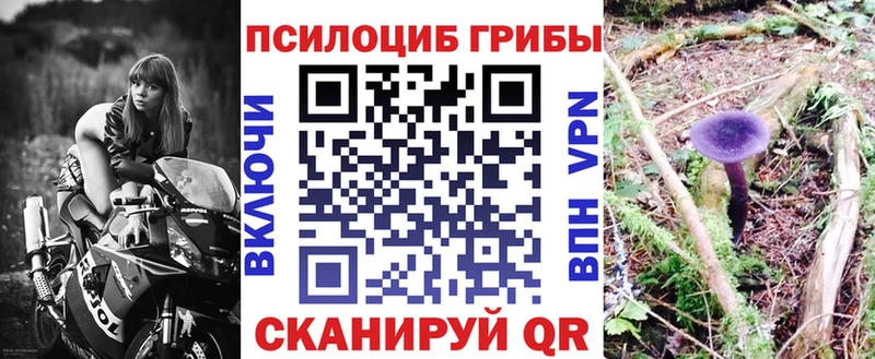 Галлюциногенные грибы Psilocybine cubensis  Камбарка 